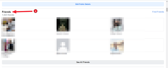 Unfriend Multiple People on Faceboook (Step 3): Scroll to the "Friends"-section and click on "Friends"