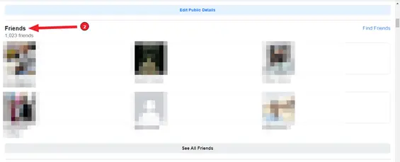 Mehrere Personen auf Faceboook entfreunden (Schritt 3): Scrollen Sie zum Abschnitt &quot;Freunde&quot; und klicken Sie auf &quot;Freunde&quot;.