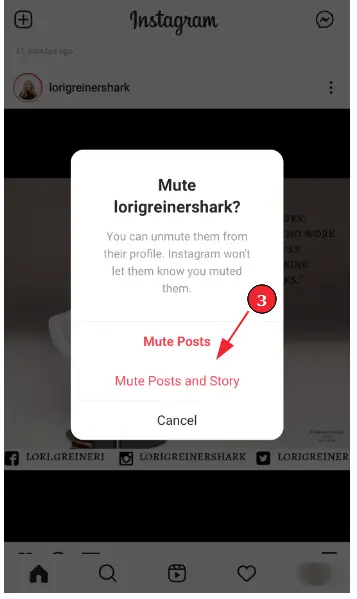 How to mute Instagram posts (Step 4): Select preferred option from the selection