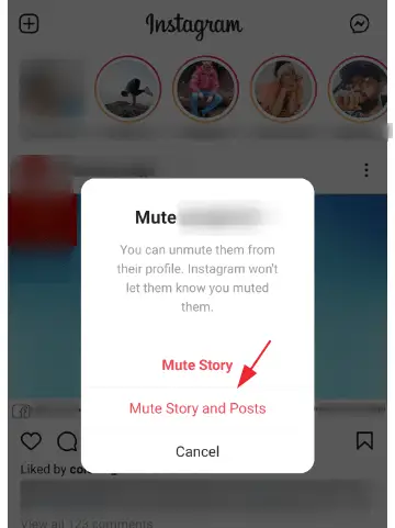 Instagram Stories für jemanden stummschalten (Schritt 4): Wählen Sie entweder Stories, Posts oder beides