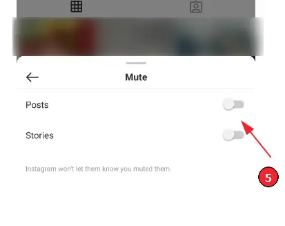 Stummschaltung von Instagram Stories aufheben (Schritt 7): Schalten Sie je nach Bedarf "Posts", "Stories" oder beides um