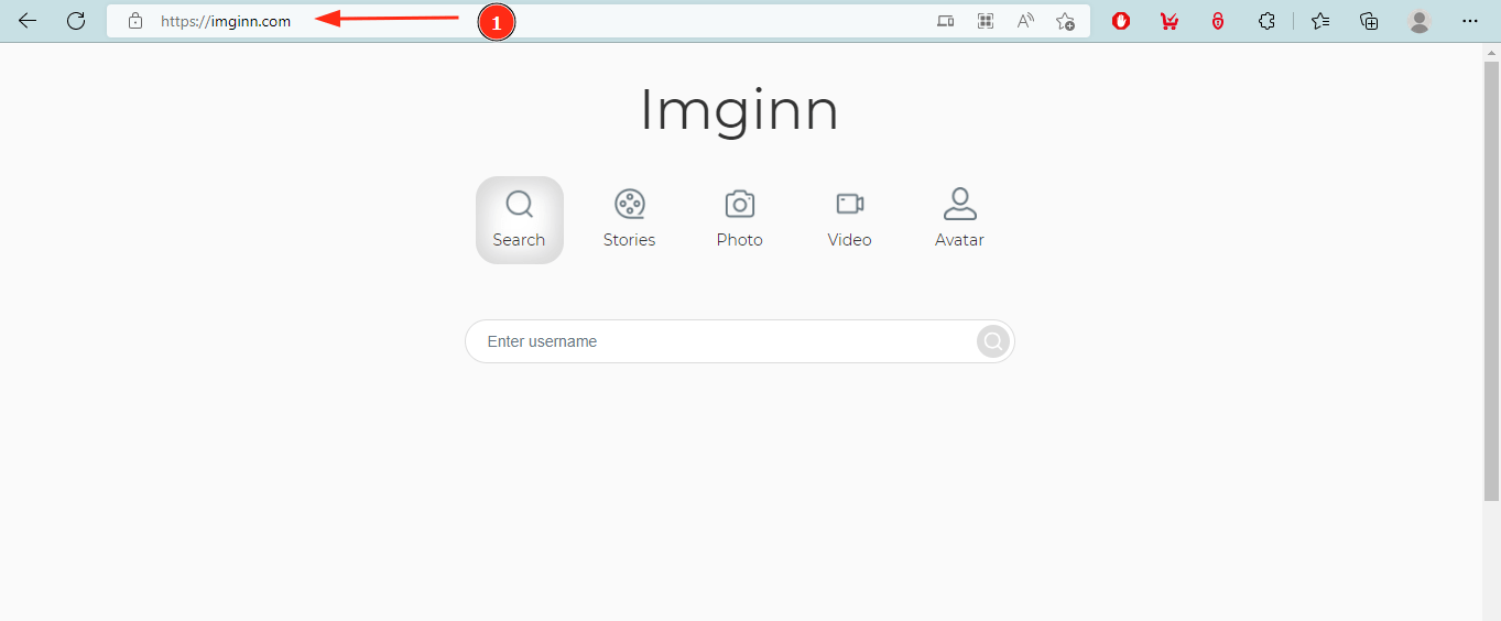 Imginn: Homepage and URL