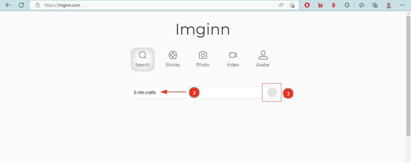 Imginn: Searchbox