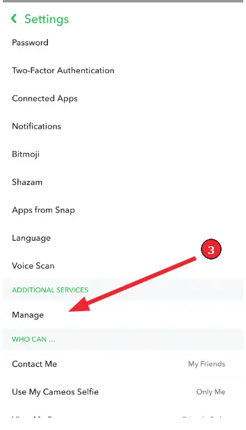 Enable Snapchat filters (Step 4): Tap "Manage" under 'Additional Services"